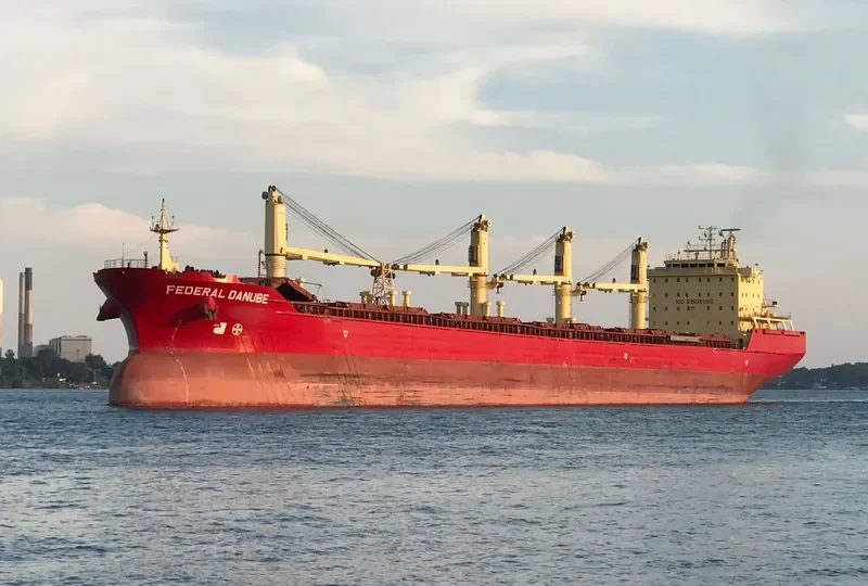 DSM CAPELLA Bulk Carrier IMO 9271511 photo 9