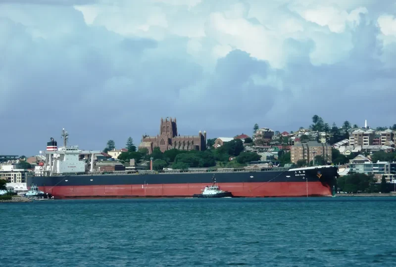 SHIN ONOE Bulk Carrier IMO 9271597 photo 3