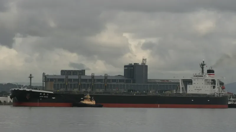 SHIN ONOE Bulk Carrier IMO 9271597 photo 9