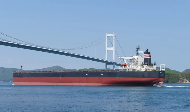 SHIN ONOE Bulk Carrier IMO 9271597 photo 10