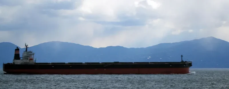 WINNING OCEAN Bulk Carrier IMO 9271602 photo 4