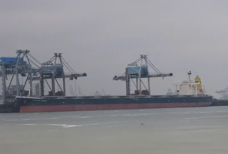 DONG YUAN Bulk Carrier IMO 9271614 photo 7