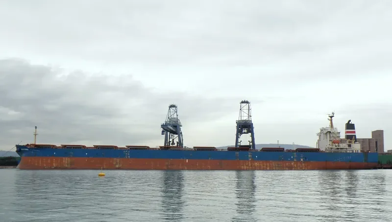 CAPE ARIA Bulk Carrier IMO 9271626 photo 5