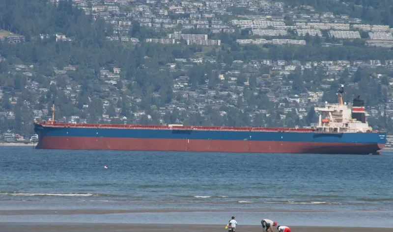 CAPE ARIA Bulk Carrier IMO 9271626 photo 7