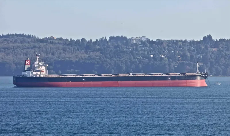 SHINYO ALLIANCE Bulk Carrier IMO 9271638 photo 5