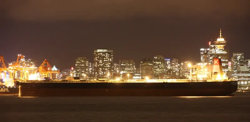 SHINYO ALLIANCE Bulk Carrier IMO 9271638 photo 10