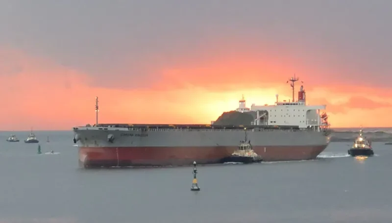 CORONA KINGDOM Bulk Carrier IMO 9272527 photo 4