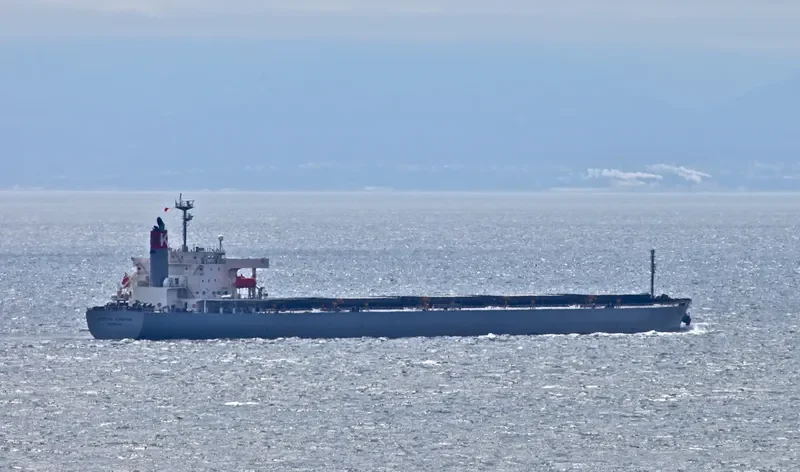 CORONA KINGDOM Bulk Carrier IMO 9272527 photo 6