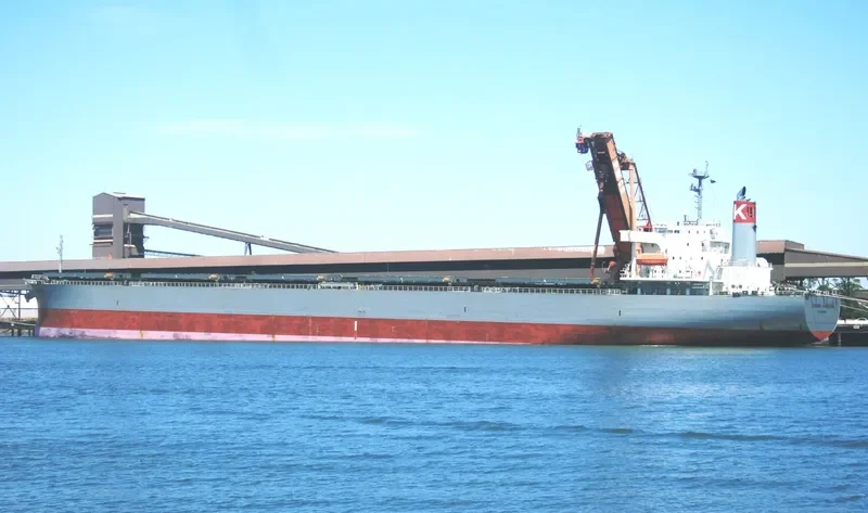 CORONA KINGDOM Bulk Carrier IMO 9272527 photo 7