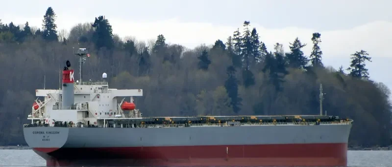 CORONA KINGDOM Bulk Carrier IMO 9272527 photo 9