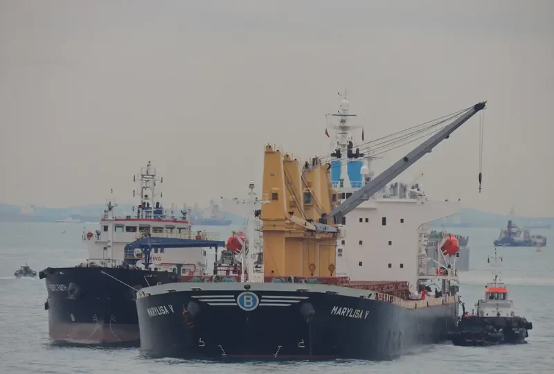 MARYLISA V Bulk Carrier IMO 9272785 photo 3
