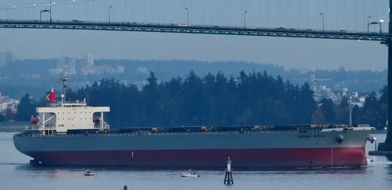 CORONA JOYFUL Bulk Carrier IMO 9272905 photo 2