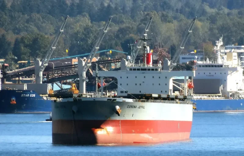 CORONA JOYFUL Bulk Carrier IMO 9272905 photo 3