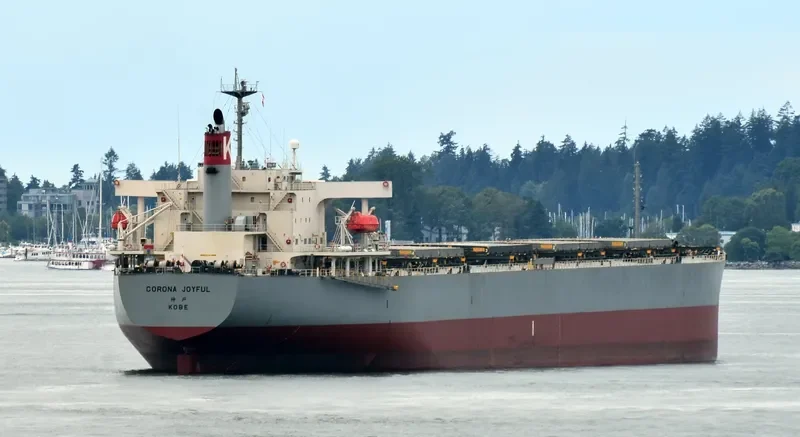 CORONA JOYFUL Bulk Carrier IMO 9272905 photo 5