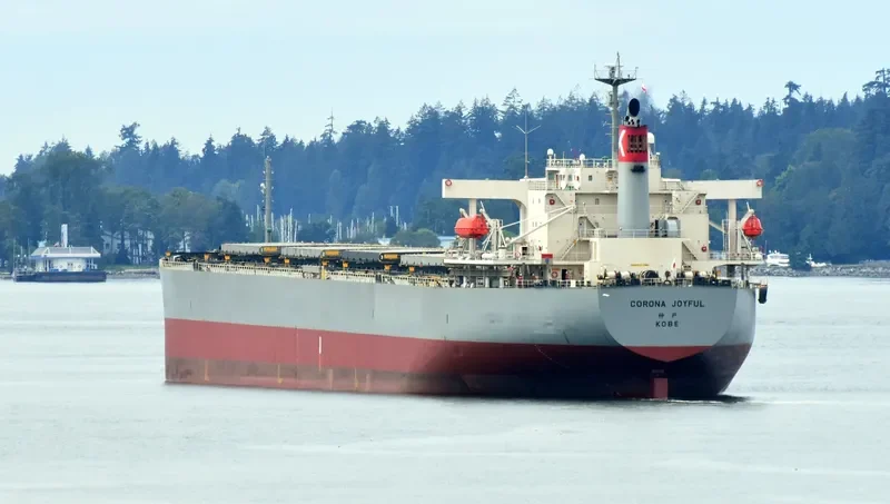 CORONA JOYFUL Bulk Carrier IMO 9272905 photo 6