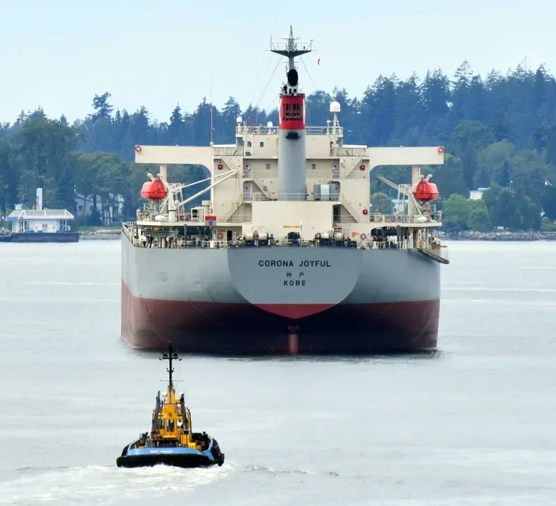 CORONA JOYFUL Bulk Carrier IMO 9272905 photo 7