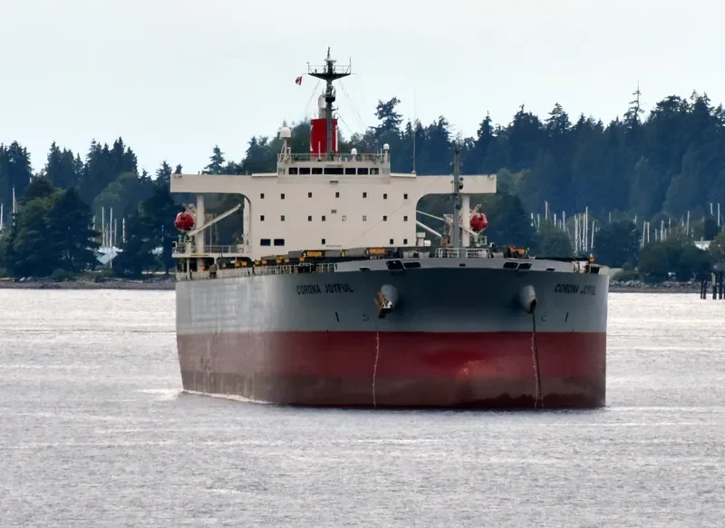 CORONA JOYFUL Bulk Carrier IMO 9272905 photo 8