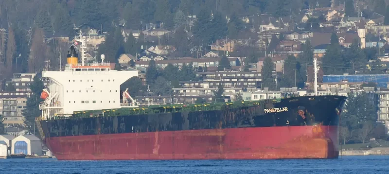 PANSTELLAR Bulk Carrier IMO 9272943