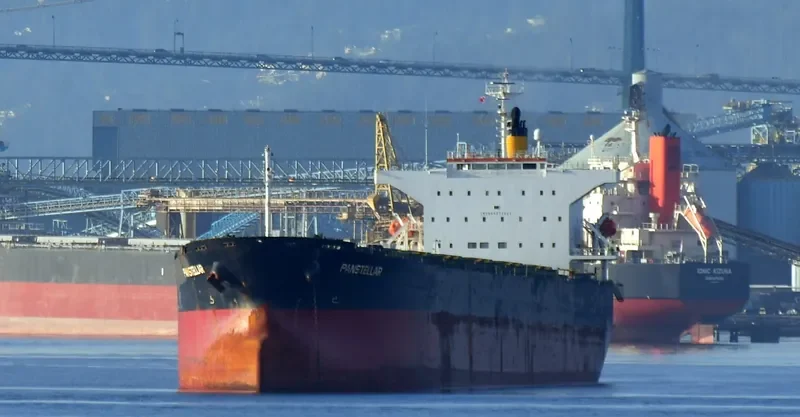 PANSTELLAR Bulk Carrier IMO 9272943 photo 3