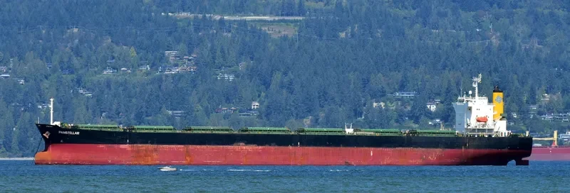 PANSTELLAR Bulk Carrier IMO 9272943 photo 8
