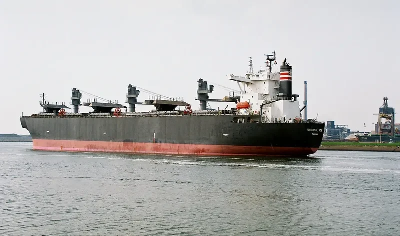 FORESTAL REINA Bulk Carrier IMO 9272979