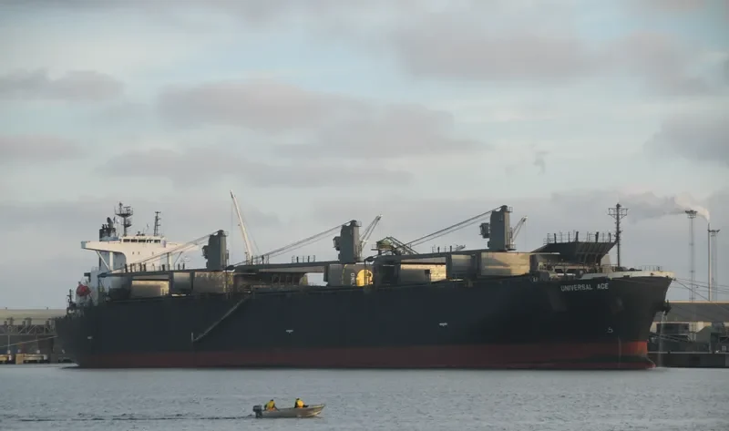 FORESTAL REINA Bulk Carrier IMO 9272979 photo 3