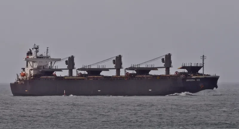 FORESTAL REINA Bulk Carrier IMO 9272979 photo 5