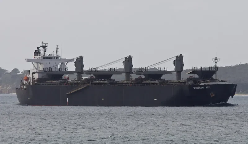 FORESTAL REINA Bulk Carrier IMO 9272979 photo 7