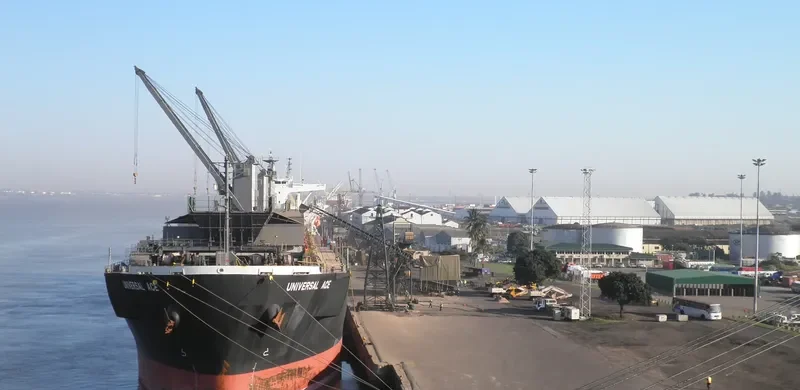 FORESTAL REINA Bulk Carrier IMO 9272979 photo 9
