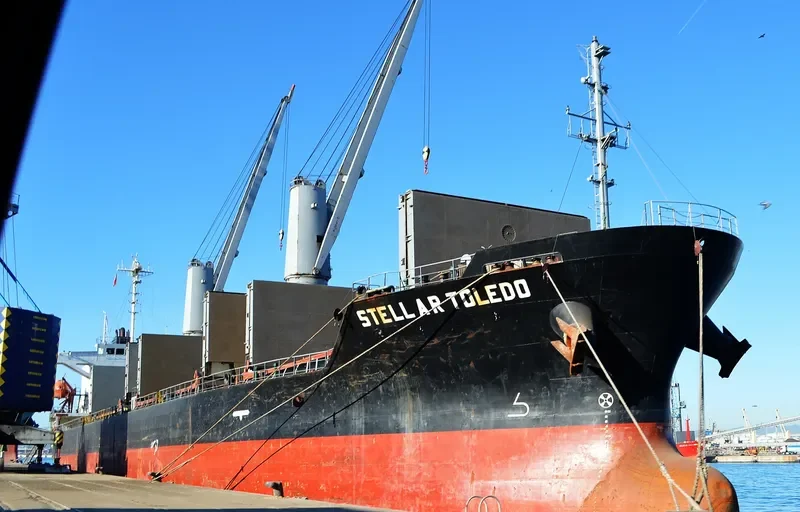 STELLAR TOLEDO Bulk Carrier IMO 9273014 photo 2