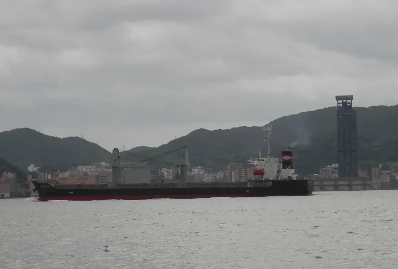STELLAR TOLEDO Bulk Carrier IMO 9273014 photo 7