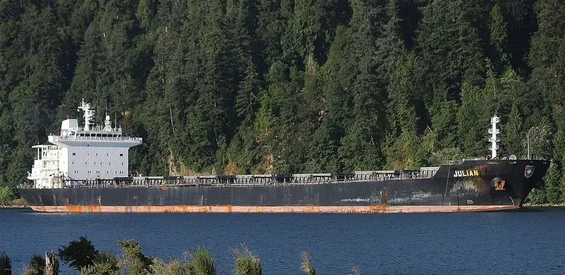 BONANZA Bulk Carrier IMO 9273210 photo 4