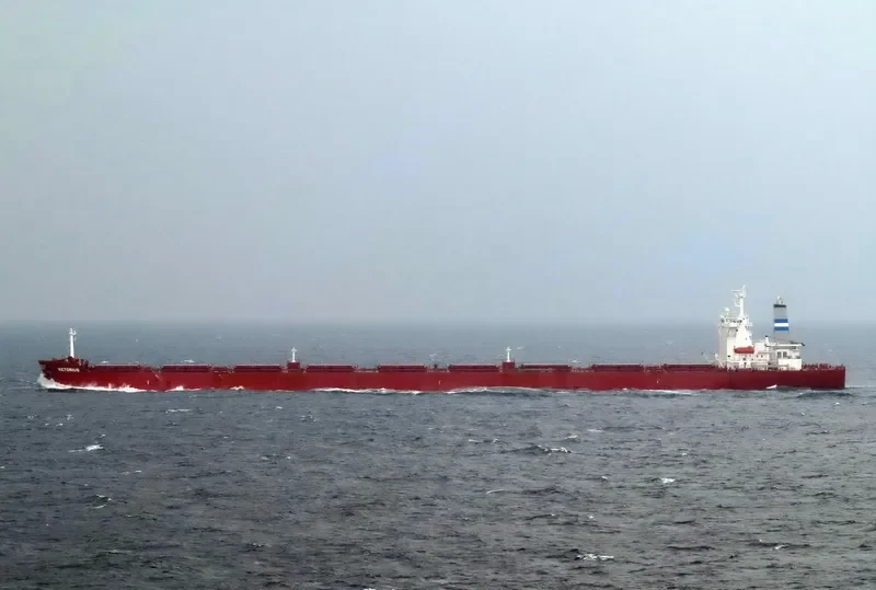 VICTORIUS Bulk Carrier IMO 9273375 photo 3