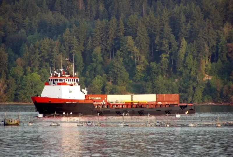 HOS SILVERSTAR Offshore Vessel IMO 9273478 photo 3