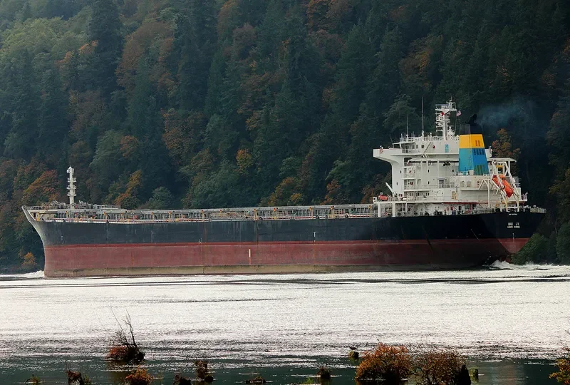 HAI JI Bulk Carrier IMO 9273612 photo 2