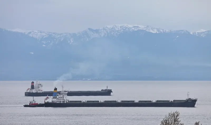 HAI JI Bulk Carrier IMO 9273612 photo 8