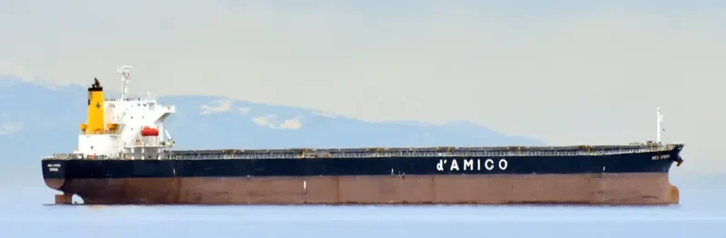 SEA TAURUS Bulk Carrier IMO 9273818 photo 6