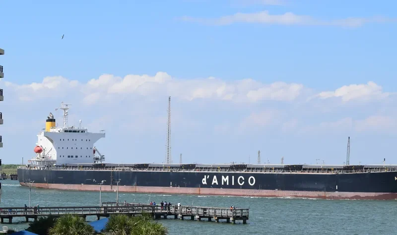 SEA TAURUS Bulk Carrier IMO 9273818 photo 8
