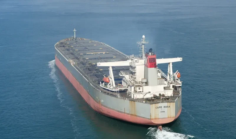 BERGE DINARA Bulk Carrier IMO 9273985 photo 2