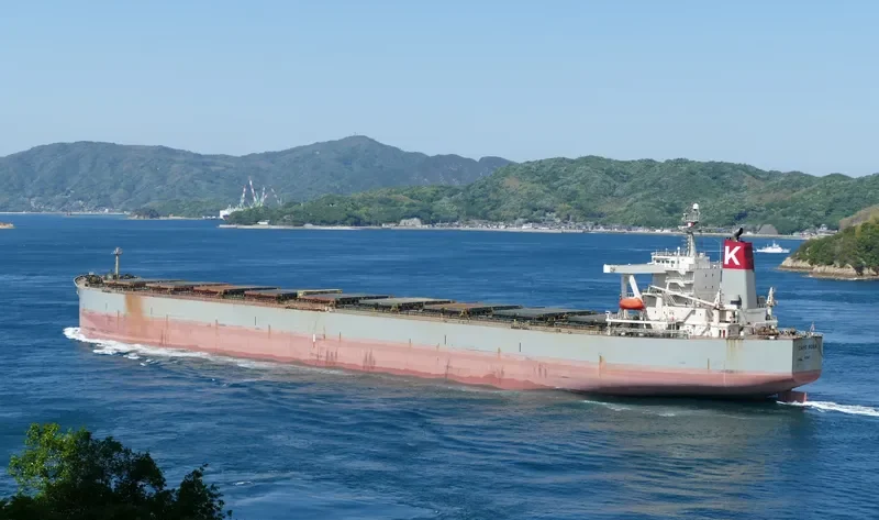 BERGE DINARA Bulk Carrier IMO 9273985 photo 10