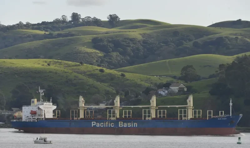 SUN RUBY Bulk Carrier IMO 9274551