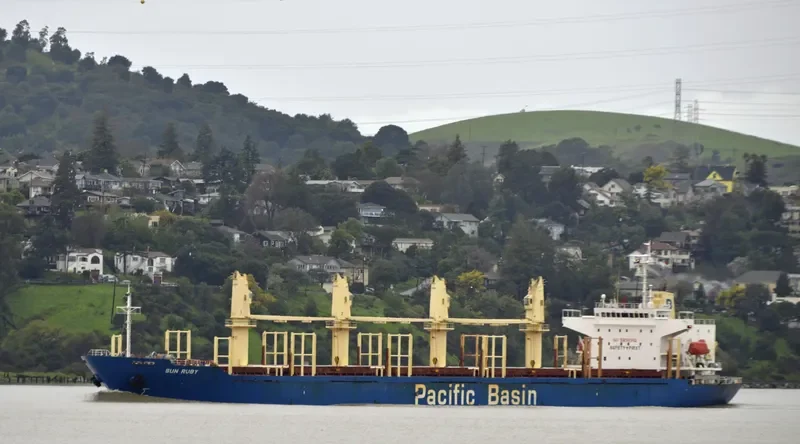 SUN RUBY Bulk Carrier IMO 9274551 photo 3
