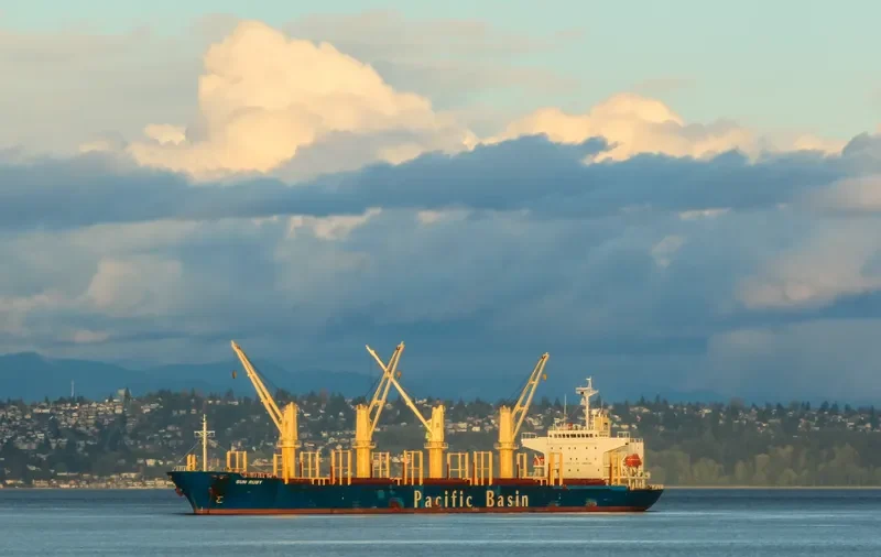 SUN RUBY Bulk Carrier IMO 9274551 photo 4