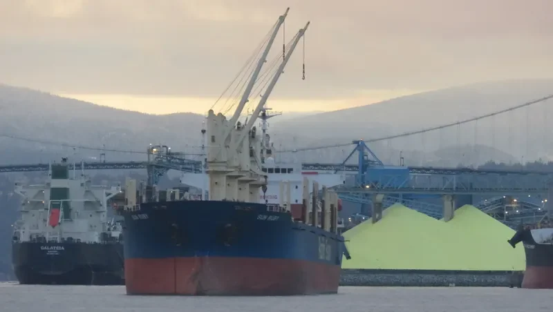 SUN RUBY Bulk Carrier IMO 9274551 photo 5