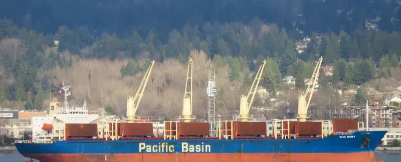 SUN RUBY Bulk Carrier IMO 9274551 photo 6