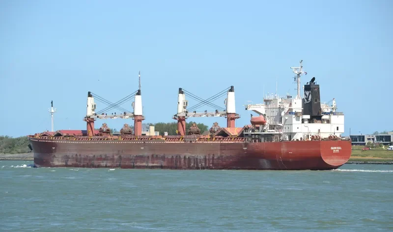 CARDINAL Bulk Carrier IMO 9274575