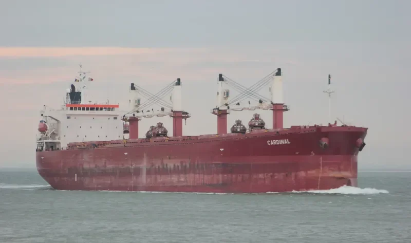 CARDINAL Bulk Carrier IMO 9274575 photo 3