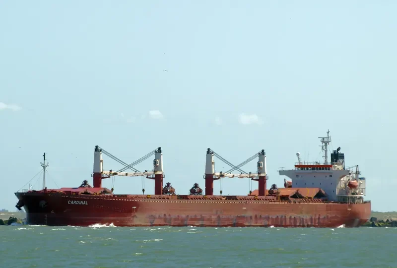CARDINAL Bulk Carrier IMO 9274575 photo 4