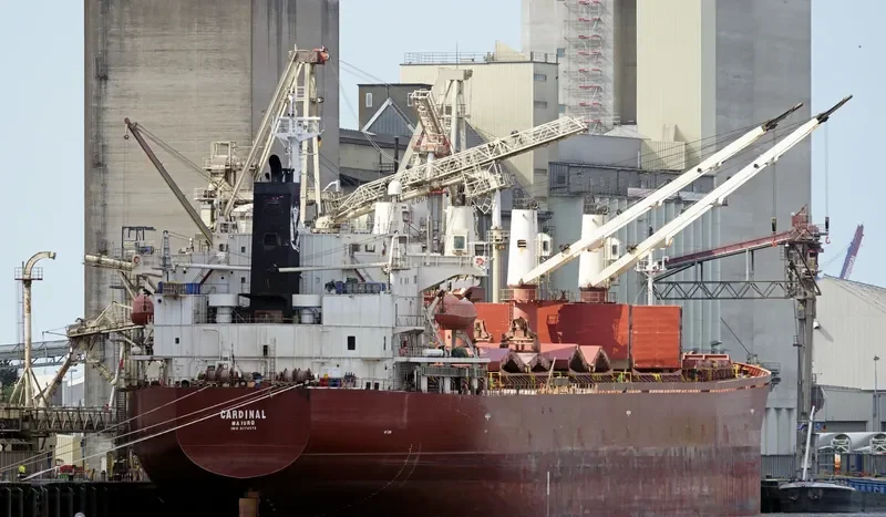 CARDINAL Bulk Carrier IMO 9274575 photo 5