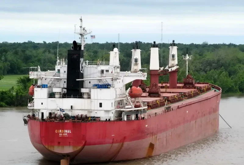 CARDINAL Bulk Carrier IMO 9274575 photo 7